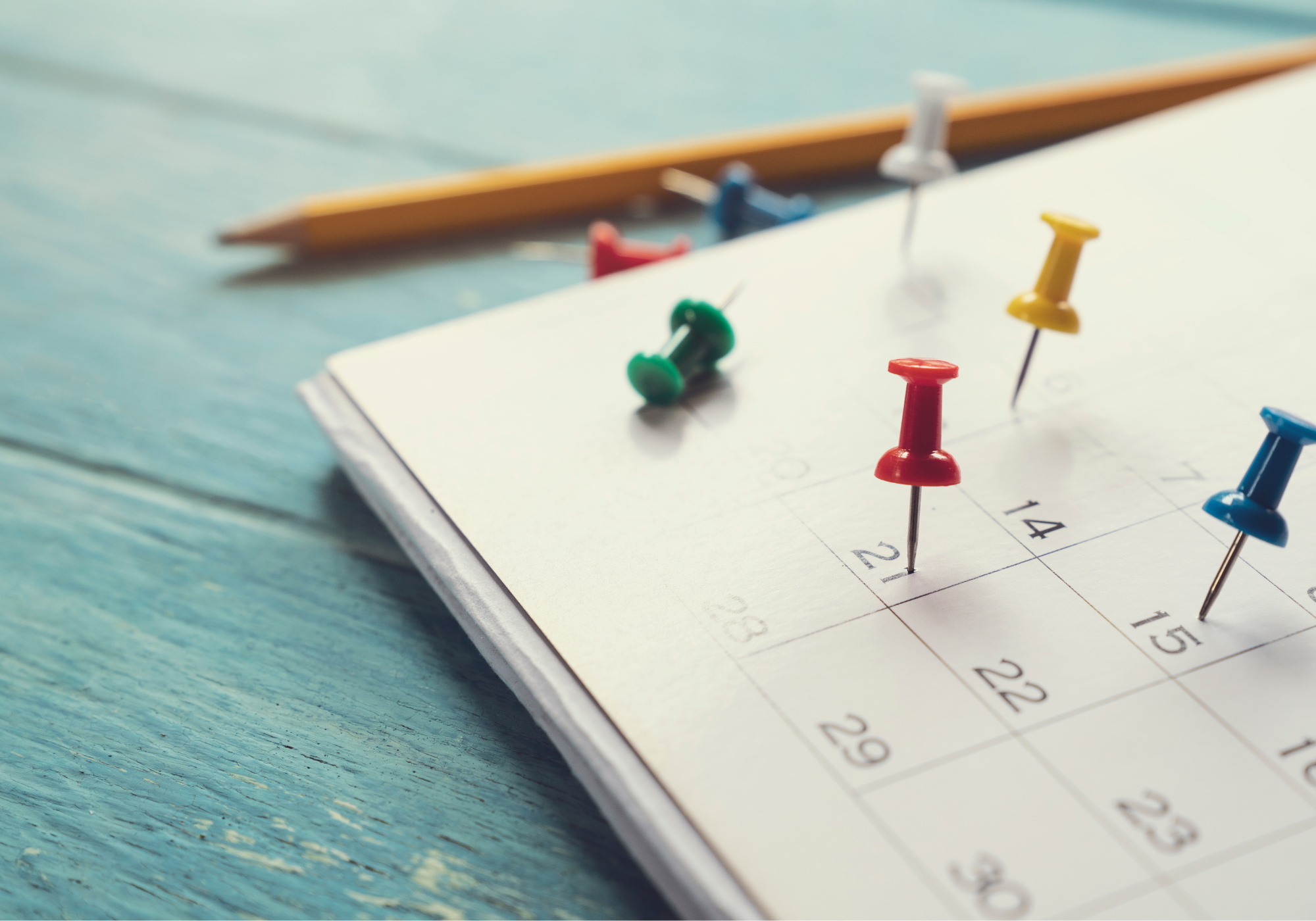 E-2 Visa Prep: 6 Steps to Take in 2024 for a Clear Plan in 2025